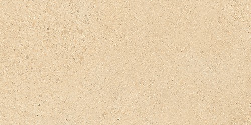 SMALL TERRAZZO STONE WARM BEIGE MATT RECT 29,8X59,8 G1
