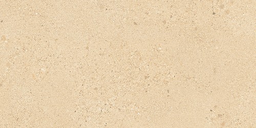 SMALL TERRAZZO STONE WARM BEIGE MATT RECT 29,8X59,8 G1