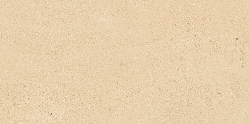 SMALL TERRAZZO STONE WARM BEIGE MATT RECT 29,8X59,8 G1