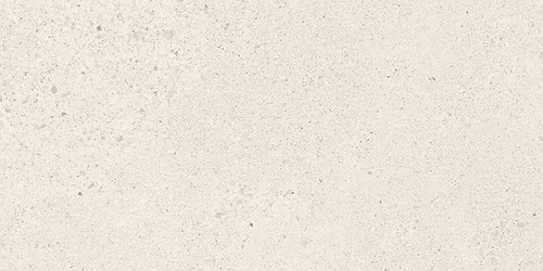 SMALL TERRAZZO STONE WHITE MATT RECT 29,8X59,8 G1