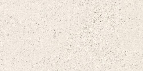 SMALL TERRAZZO STONE WHITE MATT RECT 29,8X59,8 G1
