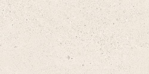 SMALL TERRAZZO STONE WHITE MATT RECT 29,8X59,8 G1