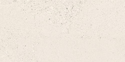 SMALL TERRAZZO STONE WHITE MATT RECT 29,8X59,8 G1