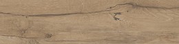 PASSION OAK BROWN MATT RECT 22,1X89 G1