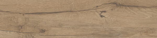PASSION OAK BROWN MATT RECT 22,1X89 G1