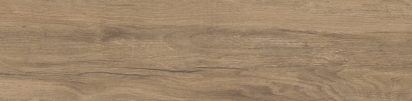 PASSION OAK BROWN MATT RECT 22,1X89 G1