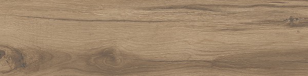 PASSION OAK BROWN MATT RECT 22,1X89 G1