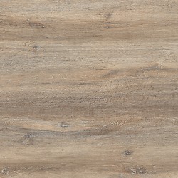 GPTU 2009 2.0 BEIGE 59,3X59,3 G1