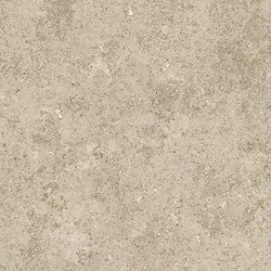 ECO STONERELAX TAUPE MATT RECT 59,8X59,8 G1