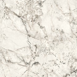 LIV ARGOSTONE WHITE MATT RECT 119,8X119,8 G1
