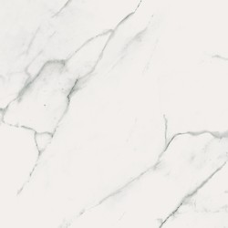 Calacatta Marble White Matt Rect