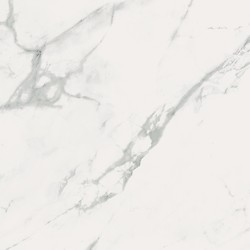 Calacatta Marble White Matt Rect