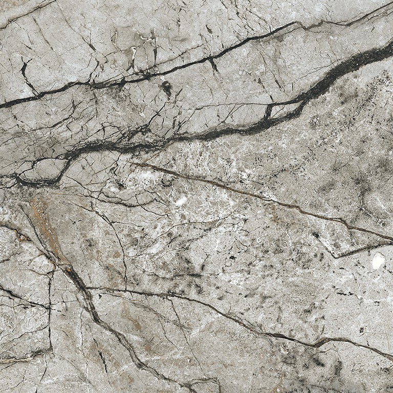 Fliesen Marble Skin Grey Matt Rect (NT1058-034-1), gdzie kupić  