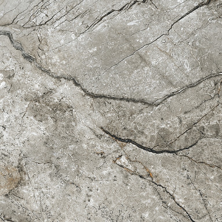 Fliesen Marble Skin Grey Matt Rect (NT1058-034-1), gdzie kupić  