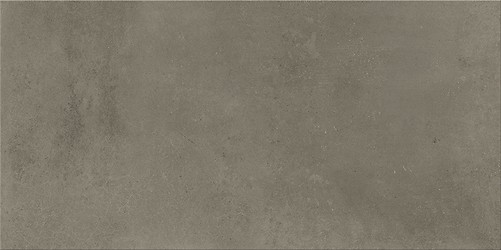 FOGGY NIGHT TAUPE MATT 29,8X59,8 G1