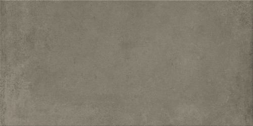 FOGGY NIGHT TAUPE MATT 29,8X59,8 G1
