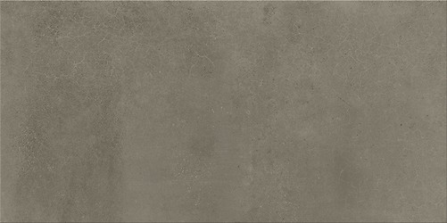 FOGGY NIGHT TAUPE MATT 29,8X59,8 G1