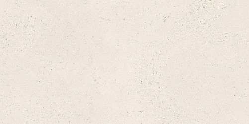 SMALL TERRAZZO STONE WHITE MATT RECT 59,8X119,8 G1
