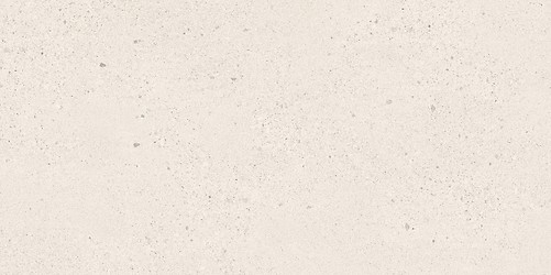 SMALL TERRAZZO STONE WHITE MATT RECT 59,8X119,8 G1