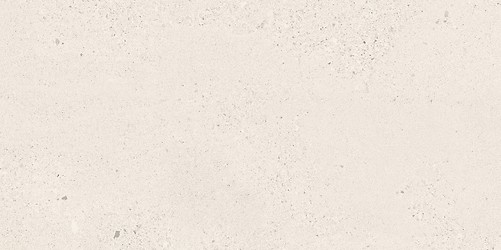 SMALL TERRAZZO STONE WHITE MATT RECT 59,8X119,8 G1