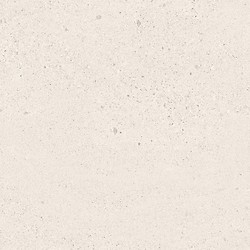 SMALL TERRAZZO STONE WHITE MATT RECT 59,8X59,8 G1
